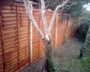 muddy boots landscaping Fencing